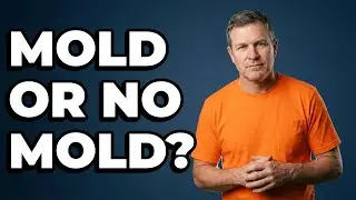 Does Leaving Wet Laundry Cause Mold In Front-Load Washers?