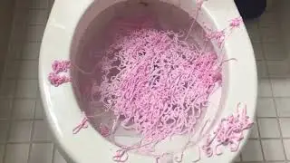 Will it Flush? - Pink Silly String