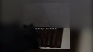 𝐭𝐡𝐢𝐬 𝐖𝐨𝐫𝐥𝐝 (𝐩𝐫𝐨𝐝. 𝐓𝐞𝐫𝐮 𝐱 𝐀𝐀𝐍𝐆𝐄𝐋𝐈𝐊𝐒)