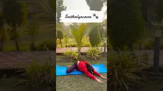 Instant Stress Relief Yoga 🧘&zwj;♀️🐾🌿 | Saithalyasana 😌 #shorts #shortsfeed