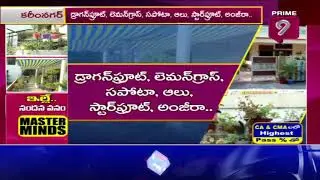 Karimnagar Women Terrace Farming | Special Focus | Prime9 News