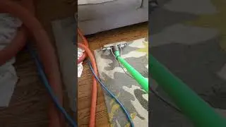 Area rug cleaning