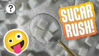 What's in sugar that makes it sweet? | But Why Bites | Vermont Public PBS