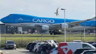 BOEING 747-406F KLM (MIAMI TO AMSTERDAM) LANDING SCHIPHOL AIRPORT PLANE SPOTTING // PHCKC // MP6142