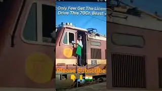 #nature #shorts #short #loco #local #flowers #tree #plants  #viral #india #train #trending  #bharat