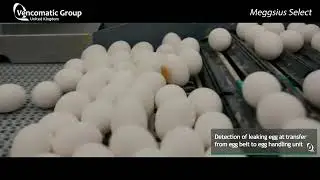 Vencomatic UK - Meggsius Select
