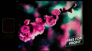 [FREE] Abstract Boom Bap Instrumental | Madlib x J. Cole Type Beat 