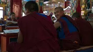 The Gelug School  A Deep Dive into Tibet
