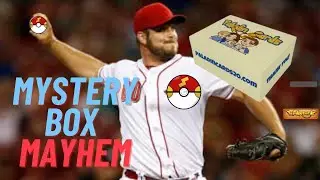 Pokemon Mystery Box Mayhem! Paladin Cards Box
