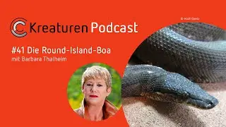 Kreaturen-Podcast &ndash; Folge 41: Die Round-Island-Boa mit Barbara Thalheim