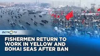 Seasonal Ban Lifted as Fishing Resumes in Yellow and Bohai Seas