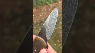 Ochs Worx Avant (Eric Ochs)