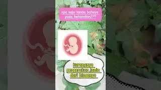 Yuk kenali tanda bahaya kehamilan ya bumil🤰🤰🥰#edukasikesehatan #ibuhamil #tandabahayakehamilan