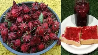 how to make roselle jam / homemade jam recipe/mesta fruit jam/ jelly recipe