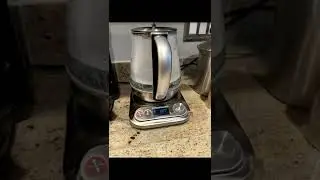 Customer Reviews Chefman Digital Electric Glass Kettle