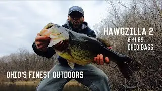 I CAUGHT Hawgzilla #2 (GIANT PRESPAWN OHIO BASS!)