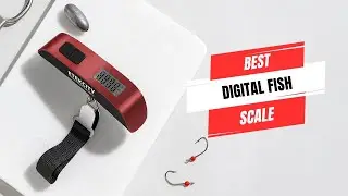 Best Digital Fish Scale for Luggage & Anglers