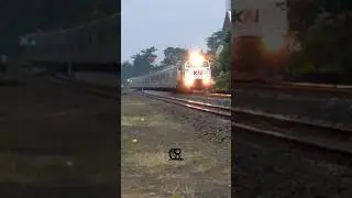 KERETA ELIT MALANG - JAKARTA🔥 #s_dnr13 #viral #shorts