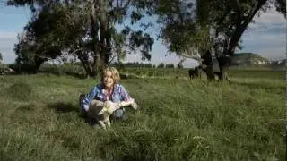 LIANIE MAY - Pleister Vir My Hart (AMPTELIKE MUSIEK VIDEO)