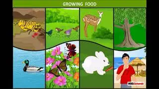Basva&rsquo;s Farm | Farming in India | EVS | Class 4