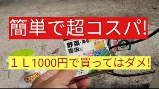 超コスパな園芸薬剤はこれ！アブラムシ退治におすすめ。簡単にできる！住友化学園芸の〇〇
