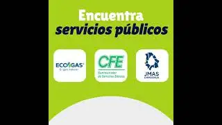 Conoce la app de Pagos Digitales