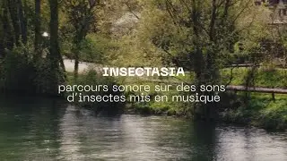 Insectasia - parcours sonore sur des sons d'insectes