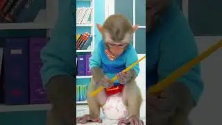 monkey picked up a magic wand that fell from the sky.
