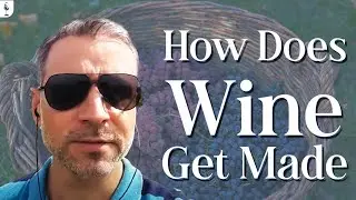 How Does Wine Get Made: A Private Tour of the Wine Making Process in Argentina! #wine #vino