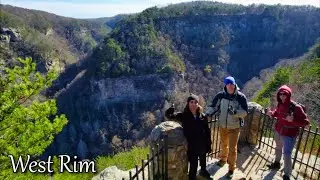 Hiking West Rim Loop at Cloudland Canyon
