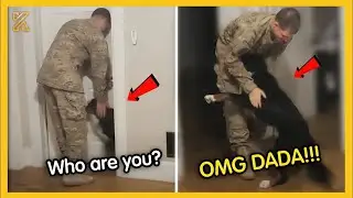 Dogs Being Dramatic Funny Dog Videos Try Not to Laugh Dogs Smart Dogs Compilation 1