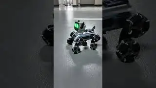 #children&rsquo;stoys#remote control car#robotdog#would any boy refuse this toy?#shorts