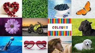 We Love All the Colors|English Colors Vocabulary|Nursery Rhymes & Kids Songs|Red, Blue, Yellow,White