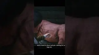 #rdr2 helping birth a foal
