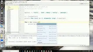 031 -  For loop with list and len()