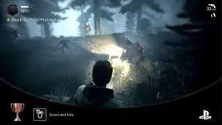 Sound and Fury - Alan Wake Remastered Trophy