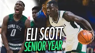 Eli Scott Senior Year FULL HIGHLIGHTS! DRAYMOND GREEN CLONE Was The BACKBONE Of Chino Hills!