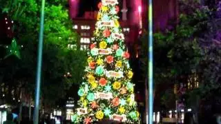 CityOfSydney.Tv Xmas Launch 2011 Martin Place Tree Lighting