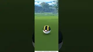 Omg no way such a rare shiny Pokemon Heatmor