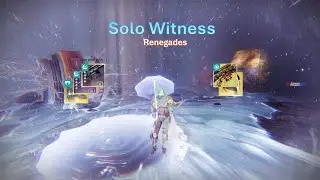 Solo Witness on Hunter | Destiny 2 Renegades