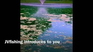 Fishing for channel catfish