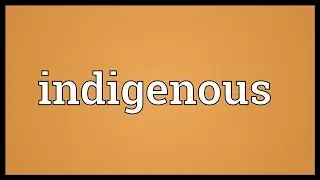 Indigenous Meaning