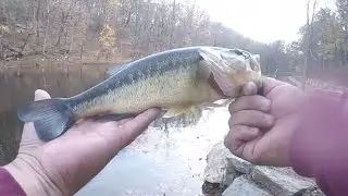 Veteran&rsquo;s Day. Fall BASS Fishing. And Meeting Fellow Youtubers