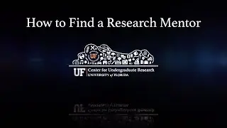 How to Find a Mentor