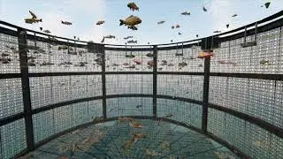 Tesla's Remote Fish Capture And Automated Feeding Station