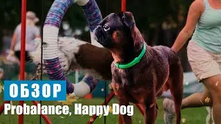 Обзор кормов для собак #2 Probalance. Happy Dog.