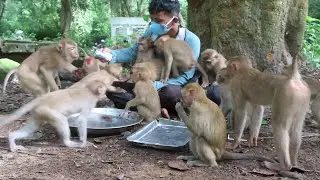 Wow monkey ware happy to get milk