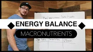Fat Loss 101: The Basics of Energy Balance and Macros