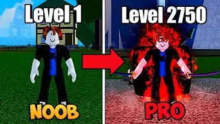 NOOB To PRO Blox Fruits (Update 27) Roblox