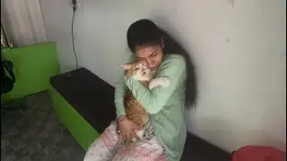 Simba ko injection se hua bohat drd😭#poonampantvlogs #vlogs #viral #cat #uk #vlog #pahadi #love 